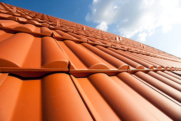 external-Repair-CLAY TILES  -repair-others-pike-picture